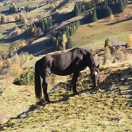 Claudia 7 By Smr - Close To The Gondola And *