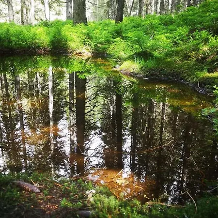 Apartment Claudia 7 By Smr - Inc And Near Gondola *