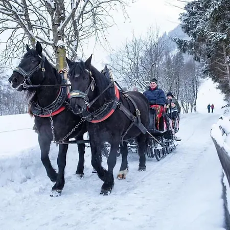 Apartment Claudia 7 By Smr - Inc And Near Gondola Rauris