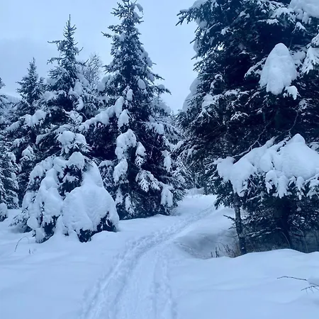 Claudia 7 By Smr - Inc And Near Gondola Apartment Rauris