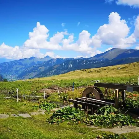 Claudia 7 By Smr - Inc And Near Gondola * Rauris