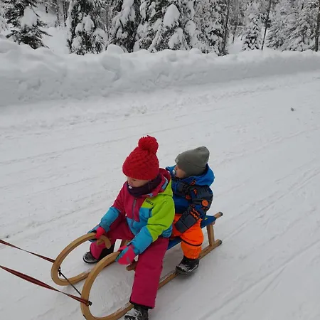 Claudia 7 By Smr - Inc And Near Gondola Apartment Rauris