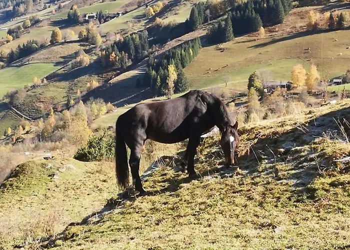 Claudia 7 By Smr - Inc And Near Gondola *