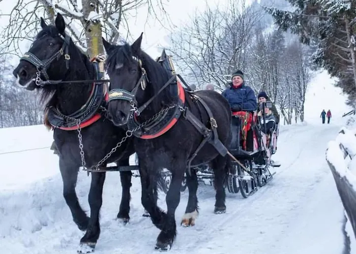 Διαμέρισμα Claudia 7 By Smr - Inc And Near Gondola Rauris