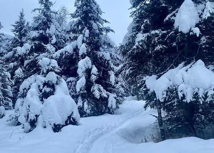 Claudia 7 By Smr - Inc And Near Gondola Διαμέρισμα Rauris