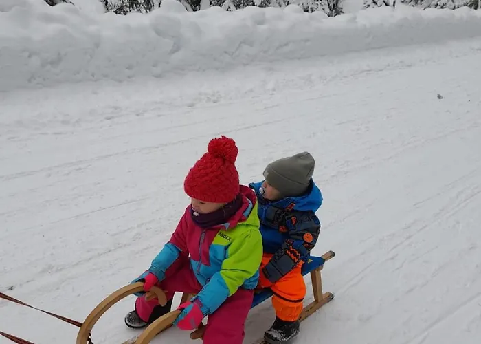 Claudia 7 By Smr - Inc And Near Gondola Διαμέρισμα Rauris